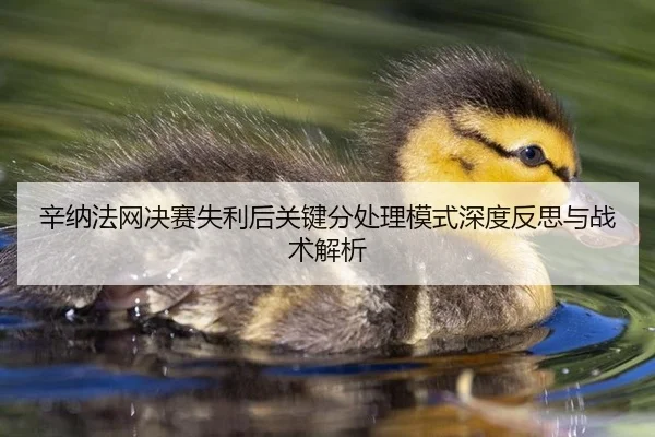 辛纳法网决赛失利后关键分处理模式深度反思与战术解析